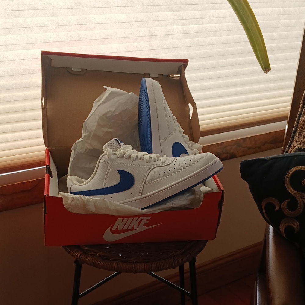 Nike Classic White and Blue Shoes